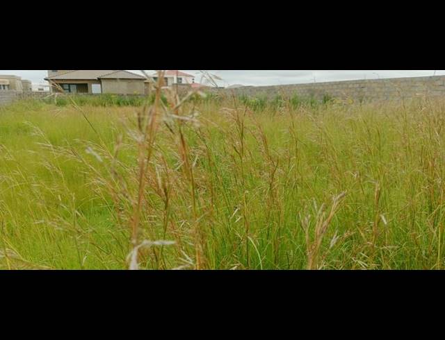 LAND FOR SALE IN VILLA LIZA